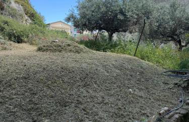 Bella Trinacria - Foto 35