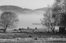 Brackenbrae Holiday Cottage - Photo 52