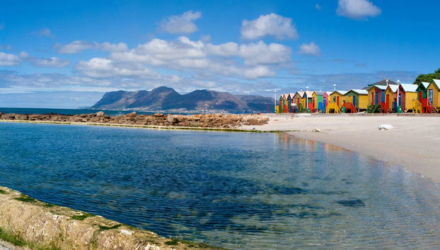 Tour de un día entero: Lo más destacado de la Ciudad del Cabo - Foto 3