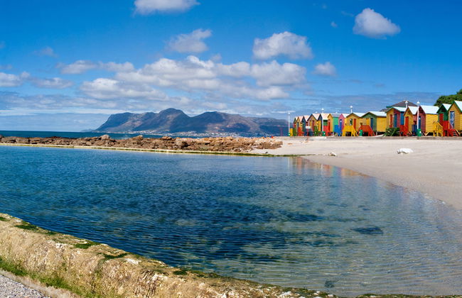 Tour de un día entero: Lo más destacado de la Ciudad del Cabo - Foto 3