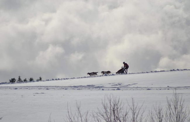 Wohnung in Wildemann Nahe Harzwald - Foto 20