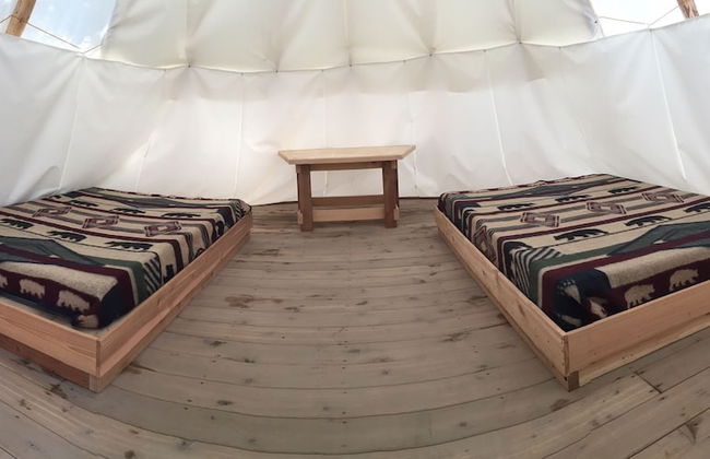 Parc Omega - Foto 25