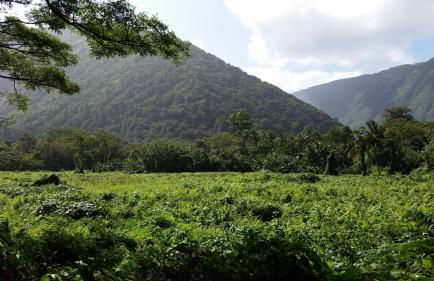 Hamakua Pukana La Hale 3 Bedroom Home by RedAwning - Foto 85