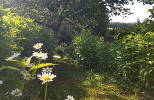 Le petit paradis, mini maison,nature,confort,calme - Foto 34