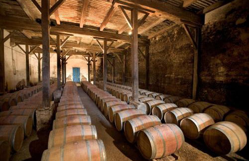 Chateau de Raissac - Foto 23