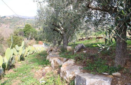 Terra Lenù - Foto 20