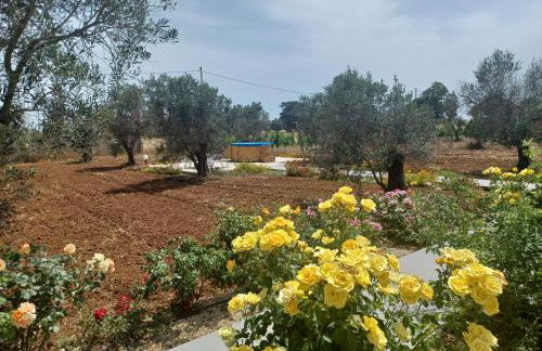 Zeituna Lodge a Porto Cesareo - Foto 16