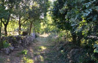 Villa Leopoldo by Istrian Country Houses - Photo 55