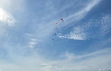 Morska Cisza - Foto 26