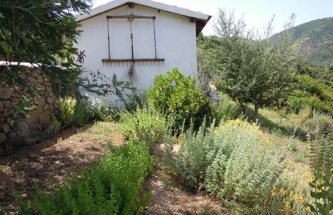 Agriturismo Camisadu - Foto 31