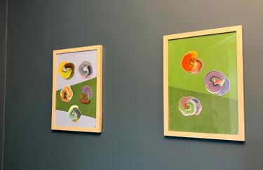 Redland Suites - Apartment 2 - Foto 21