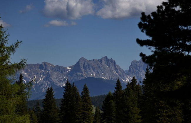 Marei-hutte Comfortable Holiday Residence - Foto 12