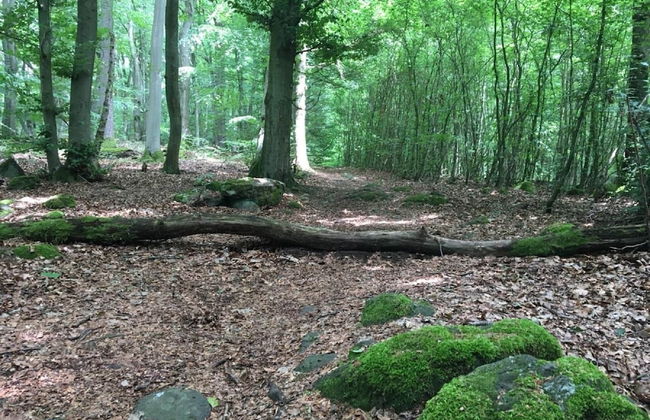 Holiday Flat With Terrace in the Westerwald - Foto 26