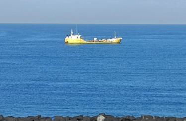 Verde Acqua - Foto 13