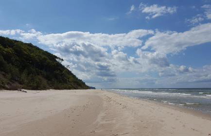 Wiselka Holiday House-1,2km to the beach; 5 bedrooms, 3 bahrooms; fire place. Private sauna! - Foto 32