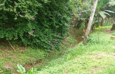 Recanto da Floresta - Photo 11