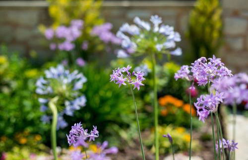 Villa Chara Chania - Photo 37