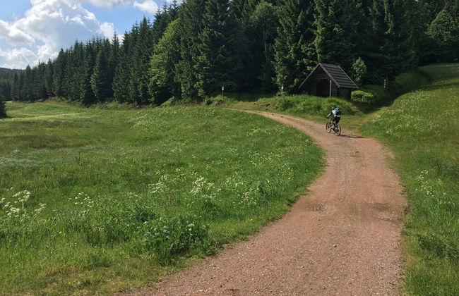 Ferienhaus Bikehütte Rehnhäusl - Photo 25