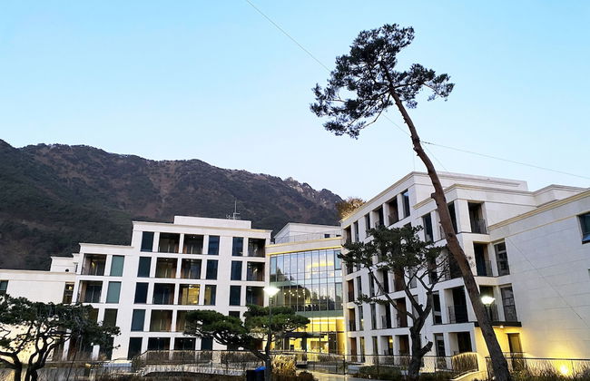 Pine Forest - Photo 37