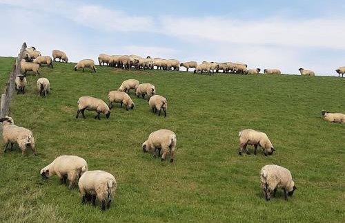 Appartement Landhaus Markus, Suderschwei - Foto 64