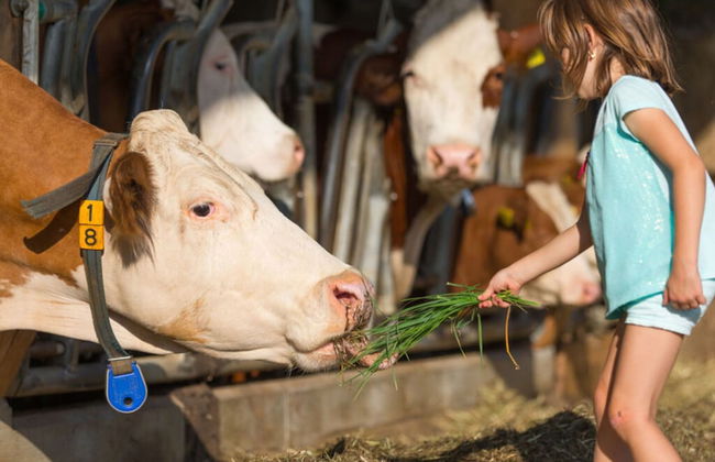Cosy Apartment in Welsberg - Foto 6