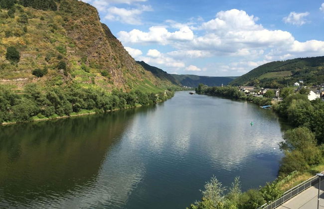 Moselvilla Belle Vue - Foto 15