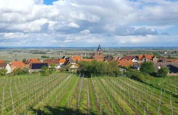 Loft am Teufelsberg - Foto 8