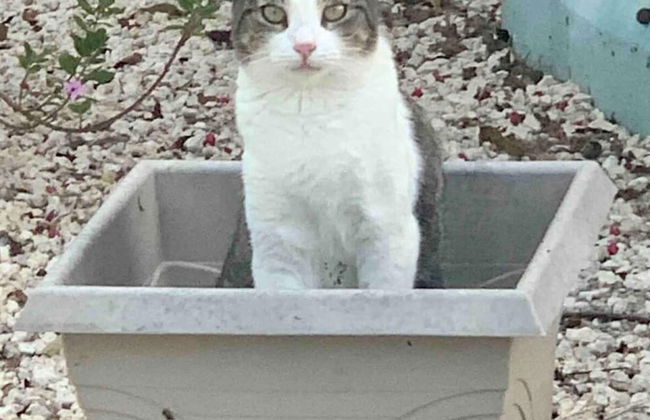 S4 BP Steps to Beach - Photo 29