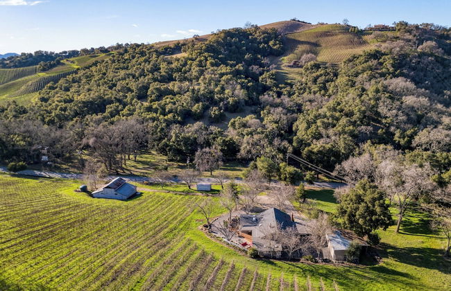 Luxury Wine Country Haven + Vineyard Views Near Top Wineries Adelaida Farmhouse - Foto 55