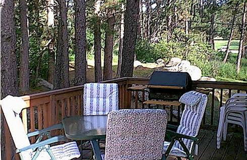 ThunderHeart - Foto 19