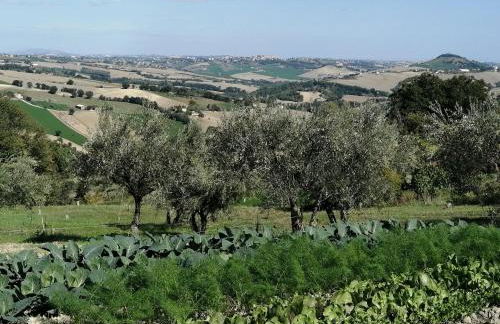 Casale San Martino Agriturismo Bio - Foto 20