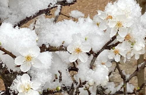 Maison de village, piscine, Colorado - Foto 32