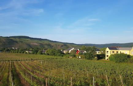 Ferienwohnung "Auf Plandert" - Foto 11