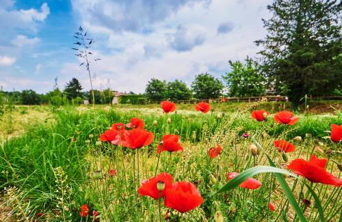 Casa Vittoria-Relax tra Lago di Garda e Verona - Foto 6