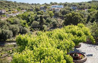 Halases Panorama Villa pvt pool - Foto 64