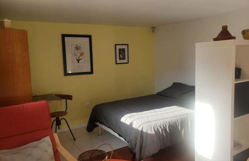 Studio Buena Vista avec terrasse sur jardin - Foto 10