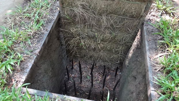 Halbtägige Cu Chi Tunnel Tour ab Hotel in Ho-Chi-Minh-Stadt - Foto 4