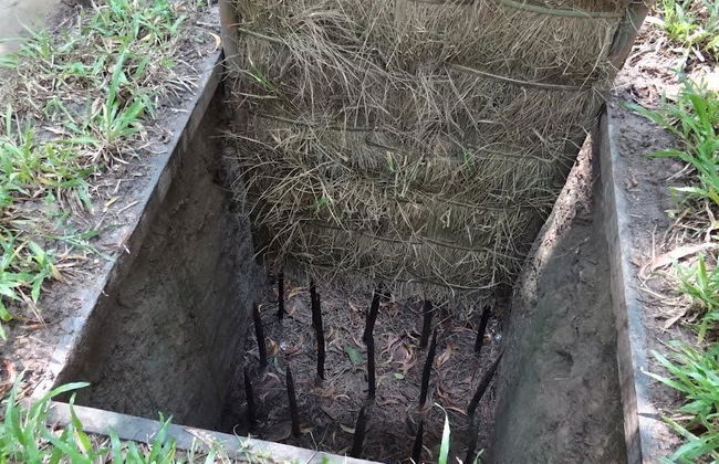 Halbtägige Cu Chi Tunnel Tour ab Hotel in Ho-Chi-Minh-Stadt - Foto 4