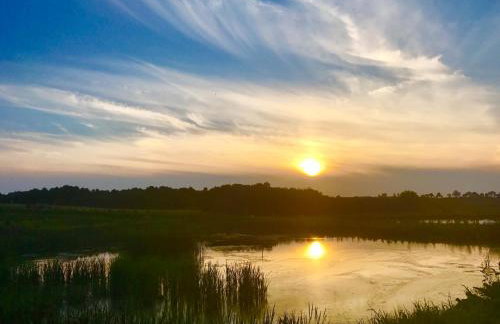 Miła Dolina - Foto 43