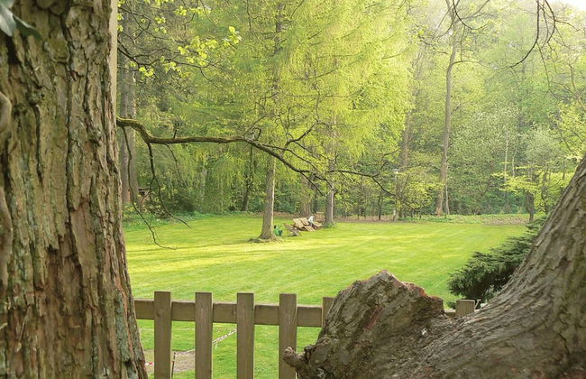 Schloss Lanke - Foto 8