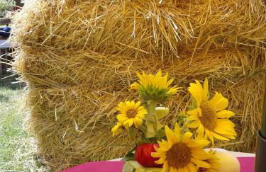 Biobagnolese Agriturismo - Foto 19