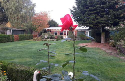 Haus Birkenheim - Foto 2