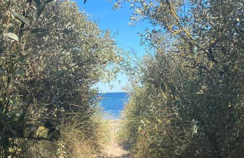 Jagdschloss Suite - premium castle hideway - Photo 23