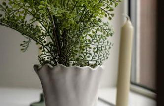 Cosy Callander One Bed Apartment Wood Burner and Free Parking - Foto 12