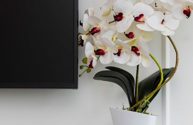 Apartament With AC Moniuszki by Renters - Foto 20