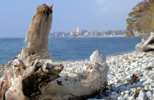 Baumanns Ferienhof Am See - Foto 15