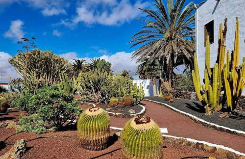 Air-conditioned flat Casa Freesia Caleta de Fuste - Foto 70