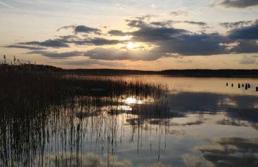 Domek w Borach Tucholskich - Wycinki - Foto 29