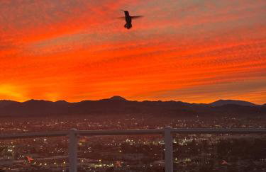 San Diego Paradise - Scenic Views, Pool and Spa - Foto 14