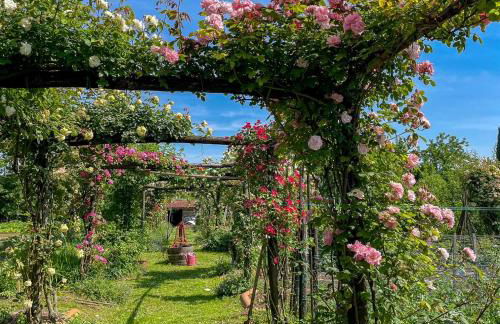 Maso Di Villa Relais di Campagna - Foto 54